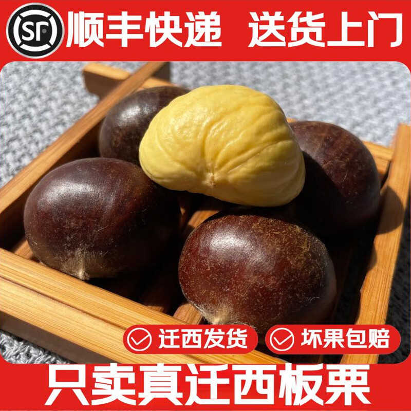 栗小胖新货迁西板栗生新鲜栗子生鲜迁西生栗子大油栗小毛唐山板粟 老树品种净重5斤 大果（实惠性价比高）