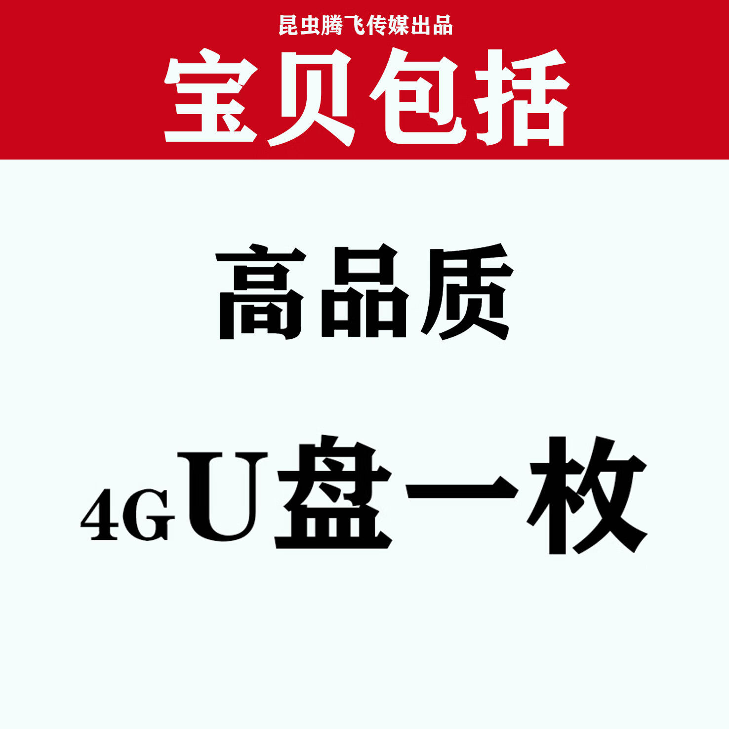 程驼（CHENGTUO）程驼美发店美容店美甲店音乐U盘唯美动听场景歌曲纯音乐英文歌优 音频U盘