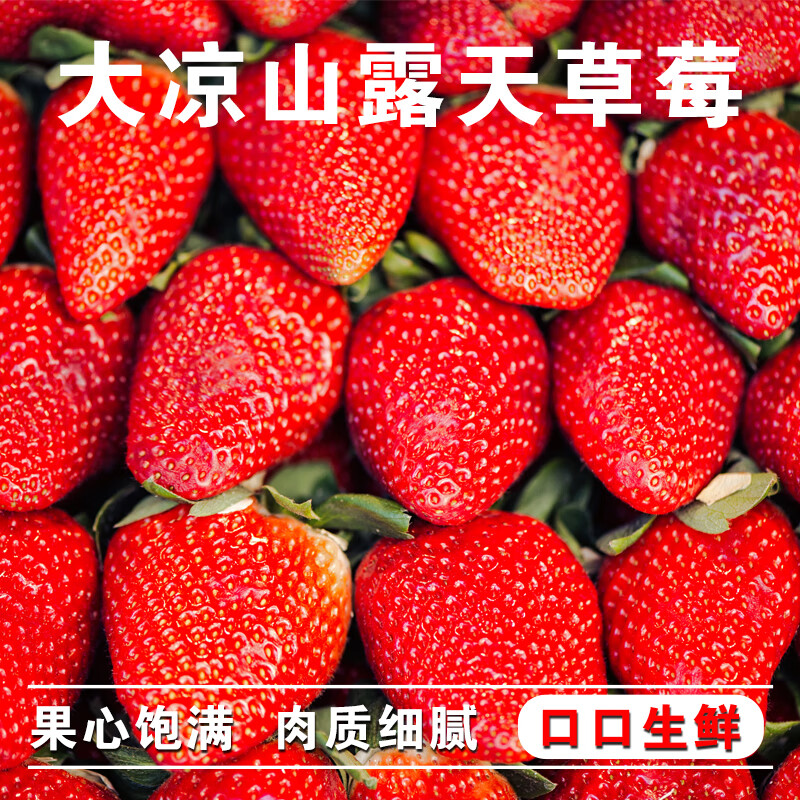  ɽԭղݮ 4װ 12g+ 2.4+