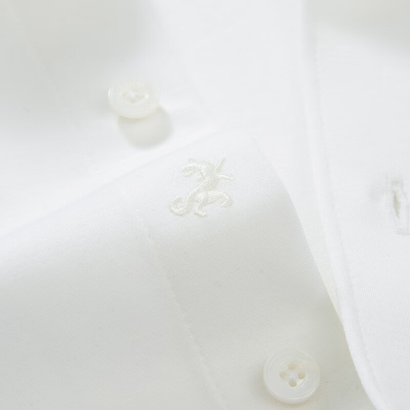 东博利尼【3A级抗菌衬衫】秋季新品羽绒蛋白衬衫男经典款纯色衬衣 白色 39