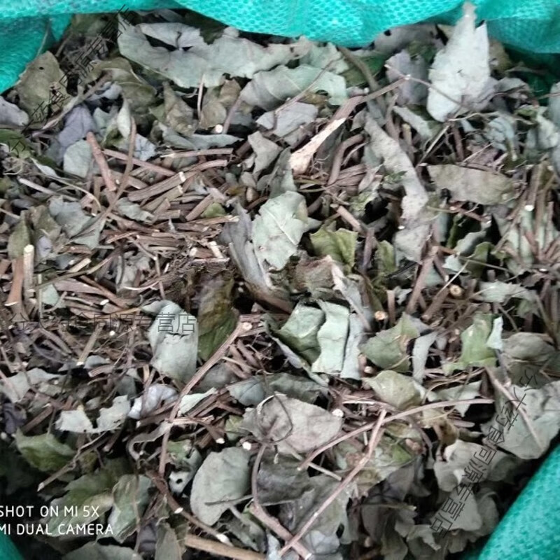 北京同仁堂野中草药粪箕笃 犁壁藤 千金藤 田鸡草 飞天雷公 青蛙藤 干