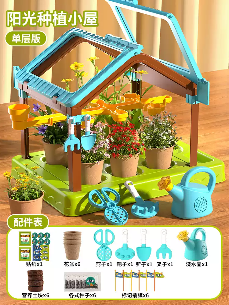 DPN阳光花房儿童种植diy6科学实验套装小学生植物生长观察盒迷你种花 单层电商盒种子6款+工具24件