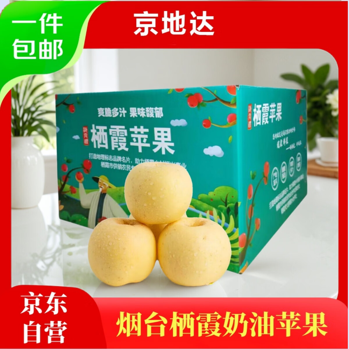 烟台栖霞奶油苹果新鲜上市！仅售50.9元/5斤！