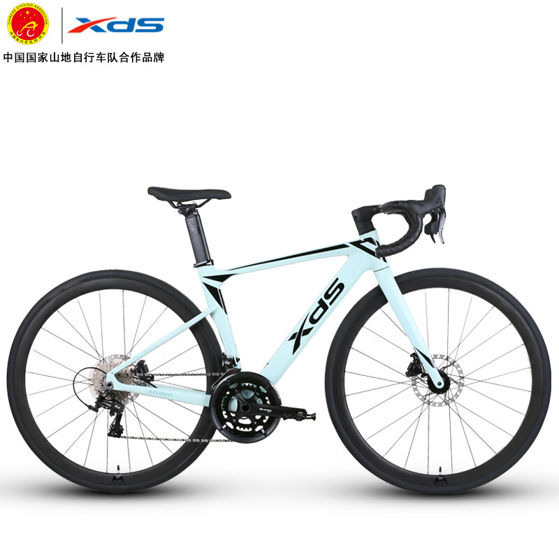 喜德盛公路自行车24款AD350 油碟桶轴固定轮组2x10变速全隐藏内走线 豆沙绿/黑 570mm（适合身高195-210cm）