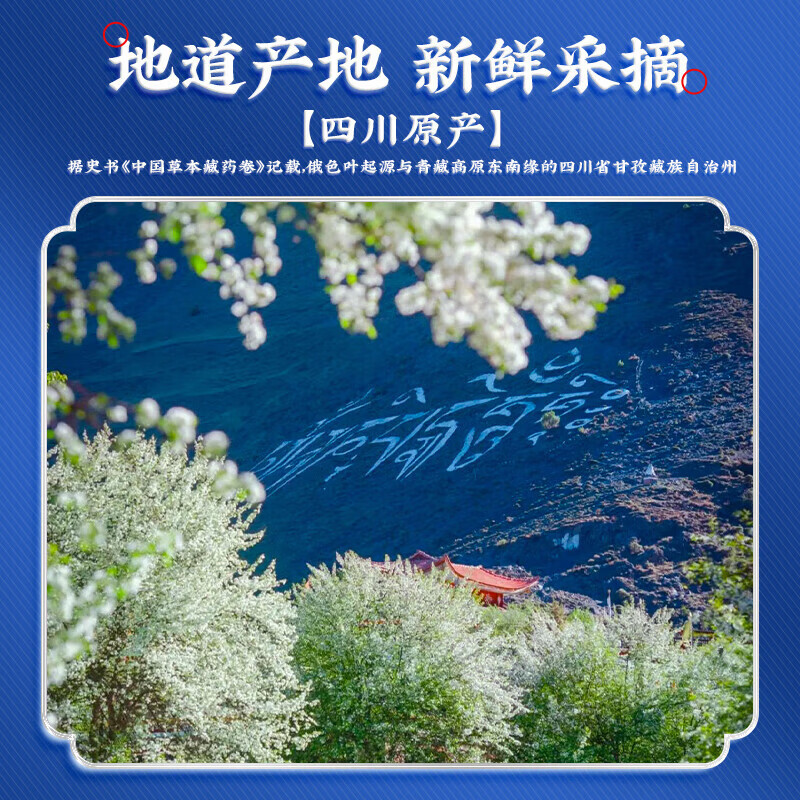 凤福仙 俄色叶中药饮片降血脂降血糖降血压老人三高茶饮甘孜藏族中药材 尝鲜装 深度装【10盒装】