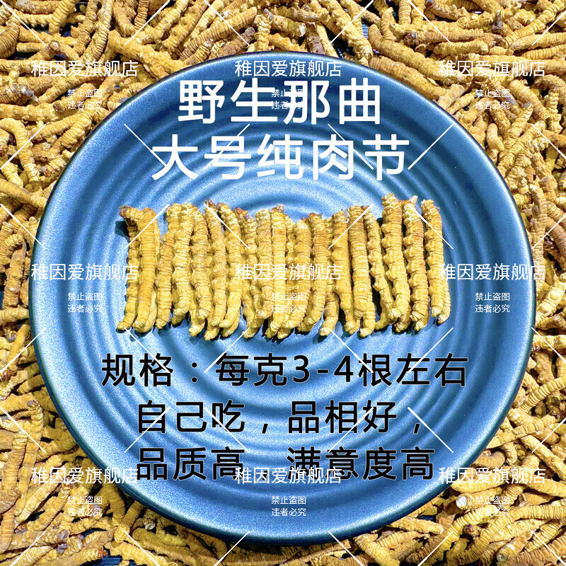 冬虫夏草野|生 正品西|藏那|曲虫草2025头期干虫草中秋送礼老丈人 东來线上商城品质野生那曲，大号纯肉节 50克