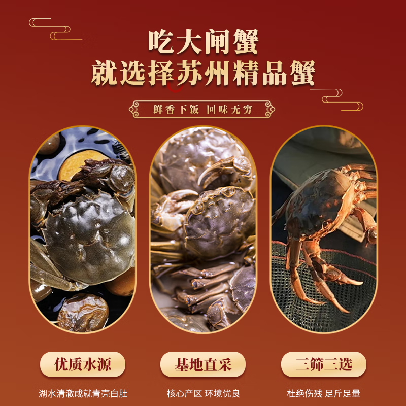 蟹妃蟹煌【活蟹】苏州精品大闸蟹鲜活螃蟹现货生鲜中秋礼盒源头直发 1688型 全母蟹3两 5对 10只