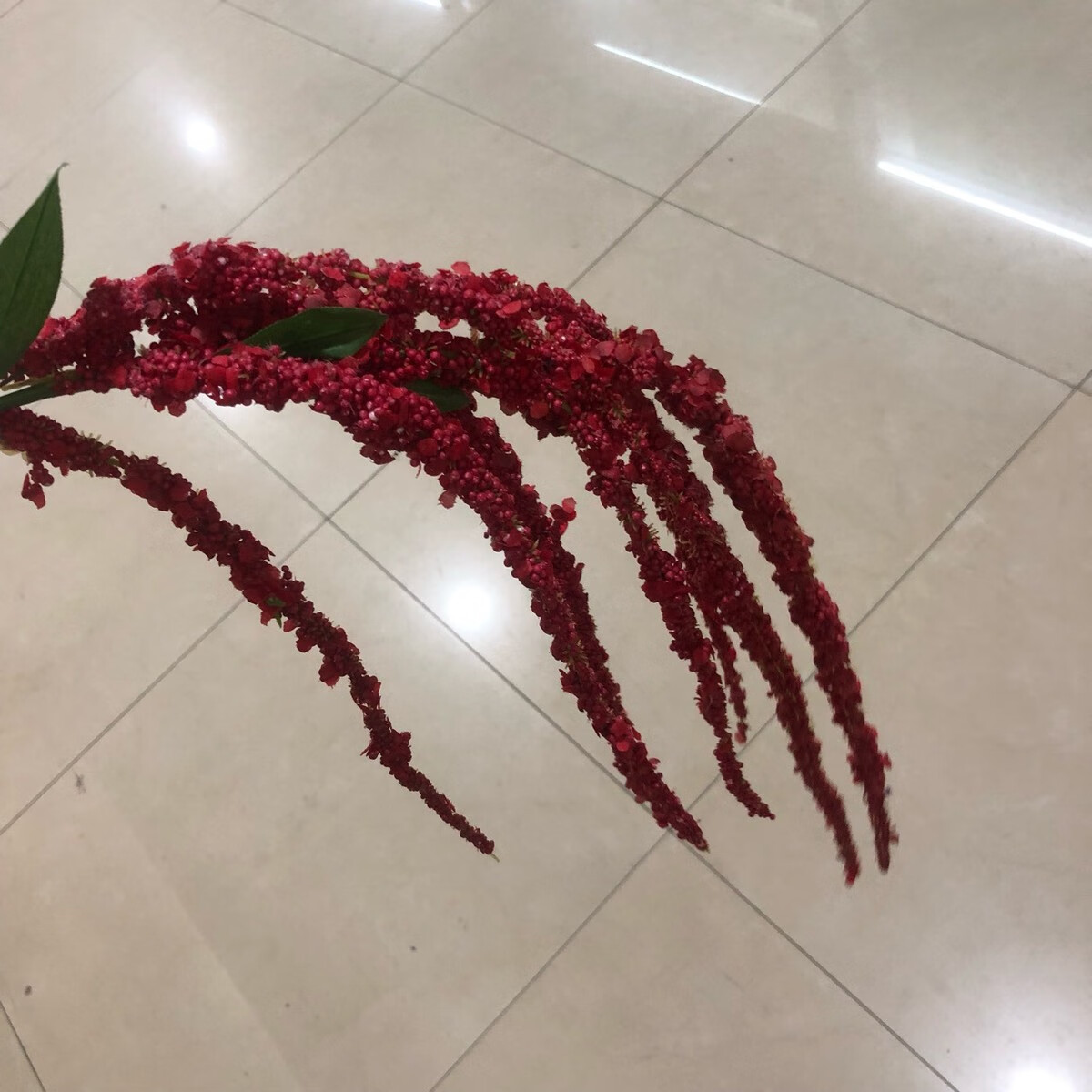 中掌柜仿8叉情人果垂鸡冠情人泪浆果垂吊假花装饰紫藤果 大红