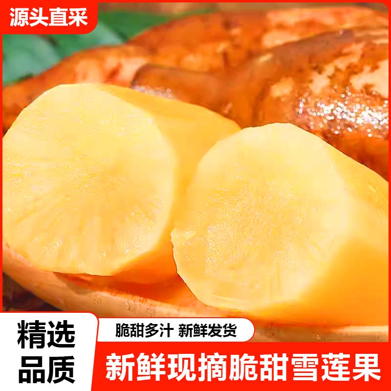 精选品质 新鲜现摘脆甜雪莲果 细腻无渣 精选雪莲果净重4.5斤