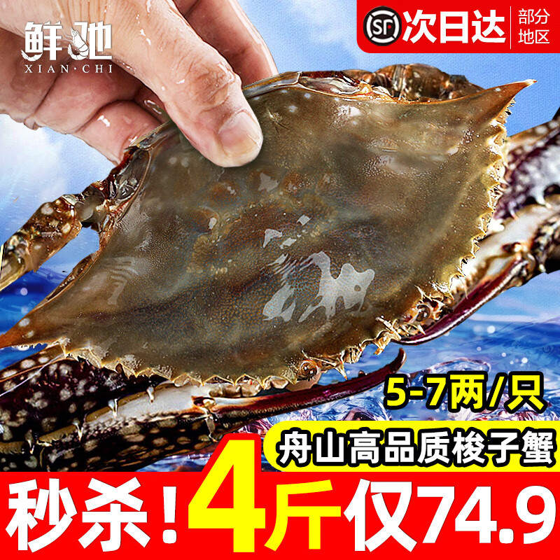 舟山梭子蟹 鲜活野生大螃蟹新鲜冷冻海鲜水产海蟹飞蟹白蟹顺丰 5-7两/只【4斤 个大肉多】净重