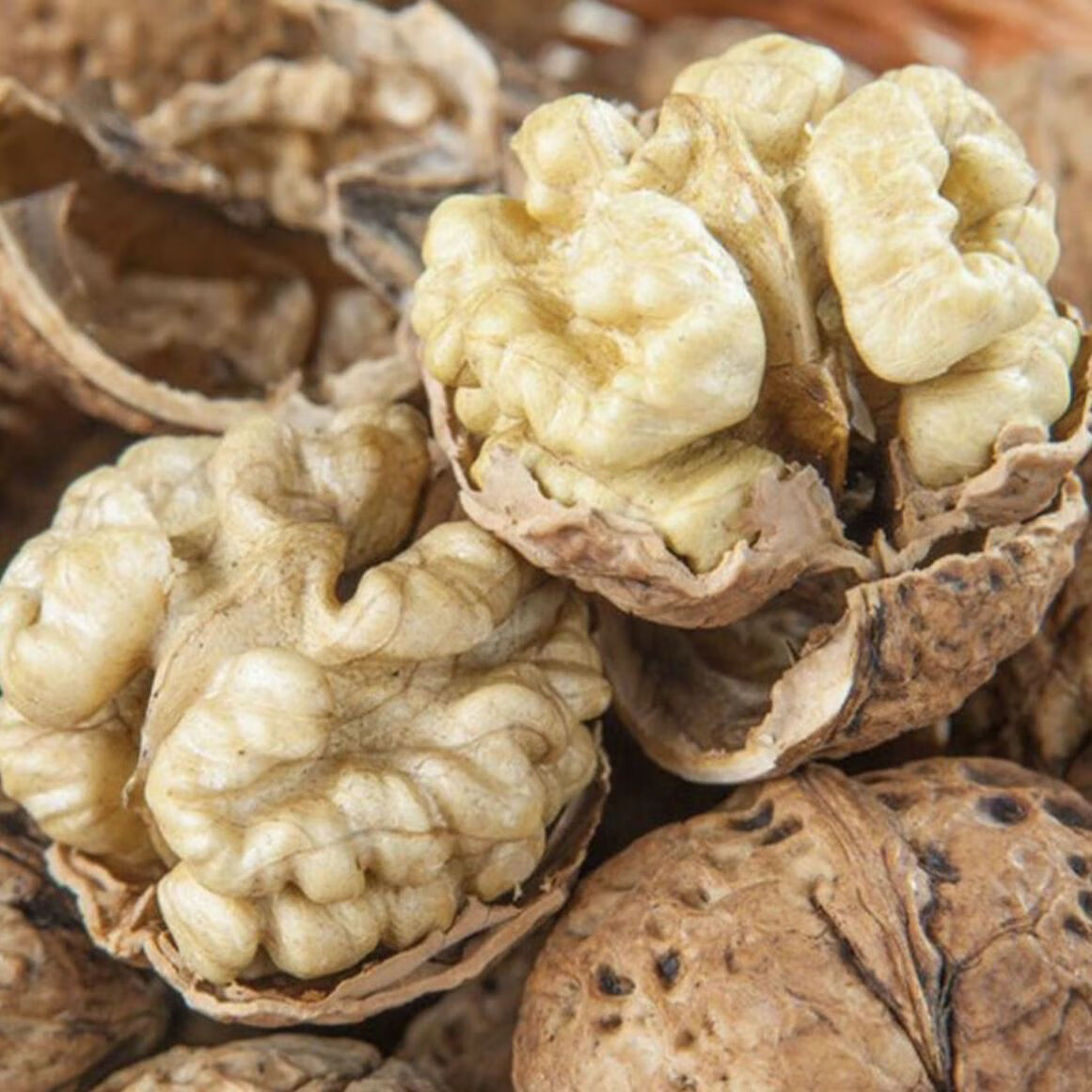 【原生态无漂白】新货正宗云南核桃薄皮薄壳干核桃高山古树核桃 老树薄皮精品一级果 4斤（不送夹子）