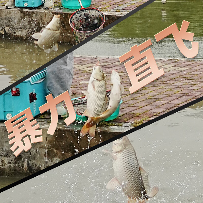 美人鱼黑坑天下黑坑竿6H8H10H12H15H钓鱼竿轻硬碳素鱼竿鱼竿 3.9m 6H