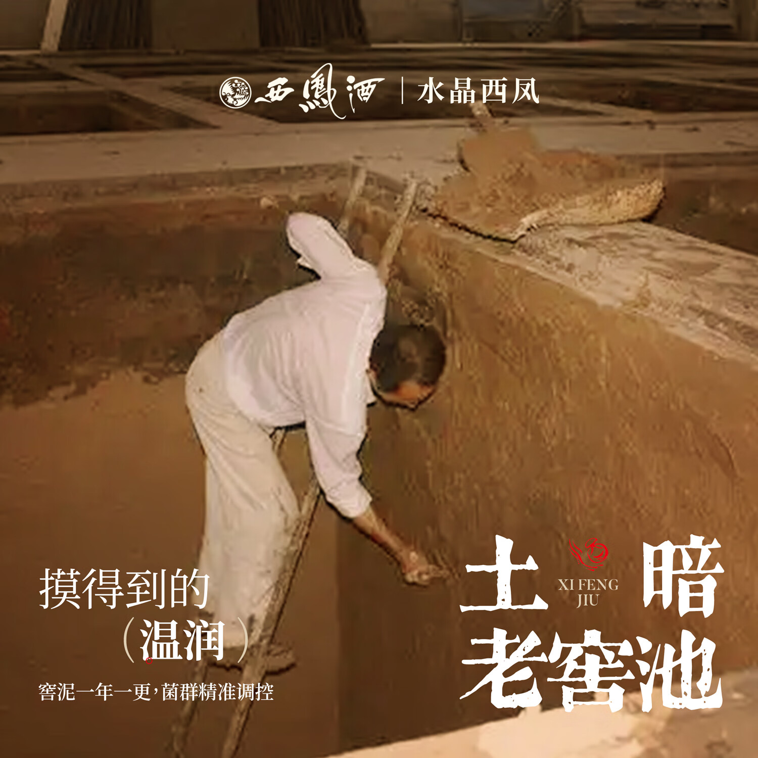 西凤酒 水晶西凤 经典45度 凤香型白酒 老产品老味道 45度 500mL 6瓶 【2018年 整箱装】