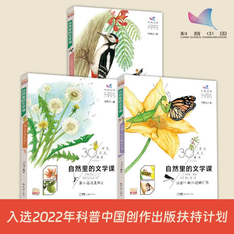 自然里的文学课：不怕脑震荡的啄木鸟详情图