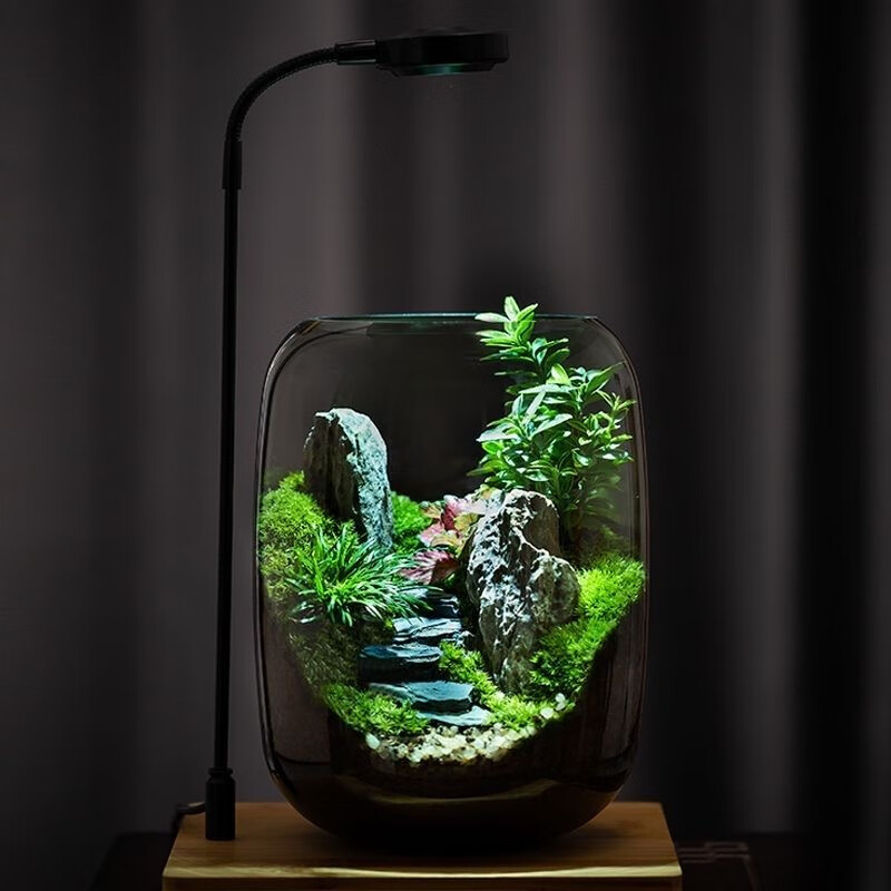 封茗【生命之树】生态瓶苔藓微景观青苔造景缸植物办公室绿植桌面盆栽 步步高升(悟空版)单景观