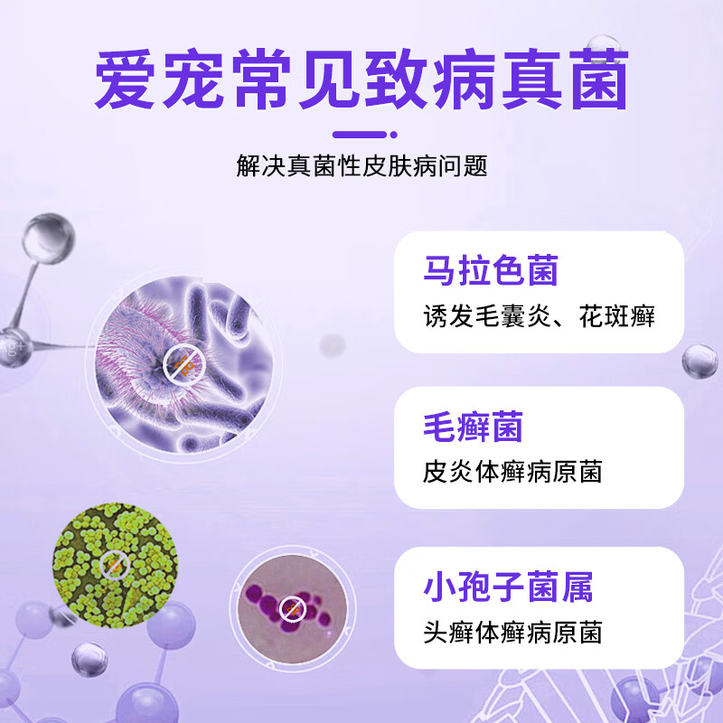 荣佳润伊曲康唑猫癣口服药猫癣狗癣马拉色菌犬小孢子菌真菌皮肤病专用药 伊曲康唑 10ml*1瓶 【送肝精口服液】