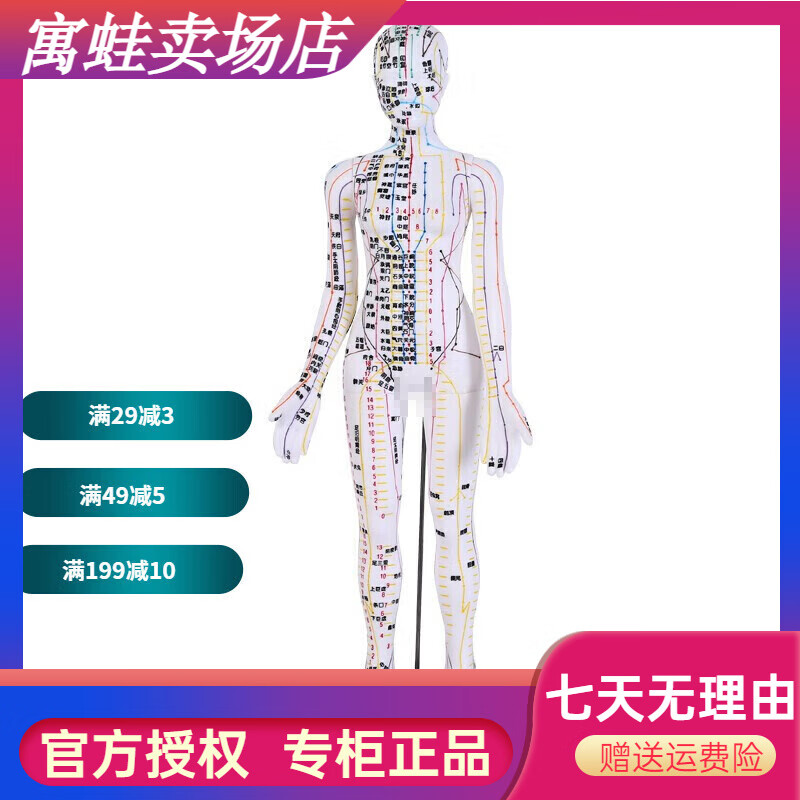 子彧（ZIYU）（ZYU） 硬模型 中醫(yī)經絡圖針灸人體穴位模型全 白色肌肉男模型(7 白色高清女模型(48cm)