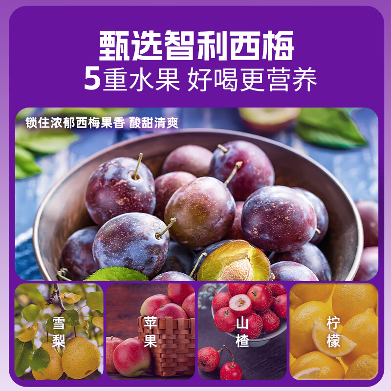 生和堂益生元西梅汁120ml 6大益生元含膳食纤维复合果蔬饮料 益生元西梅汁120ml*10袋