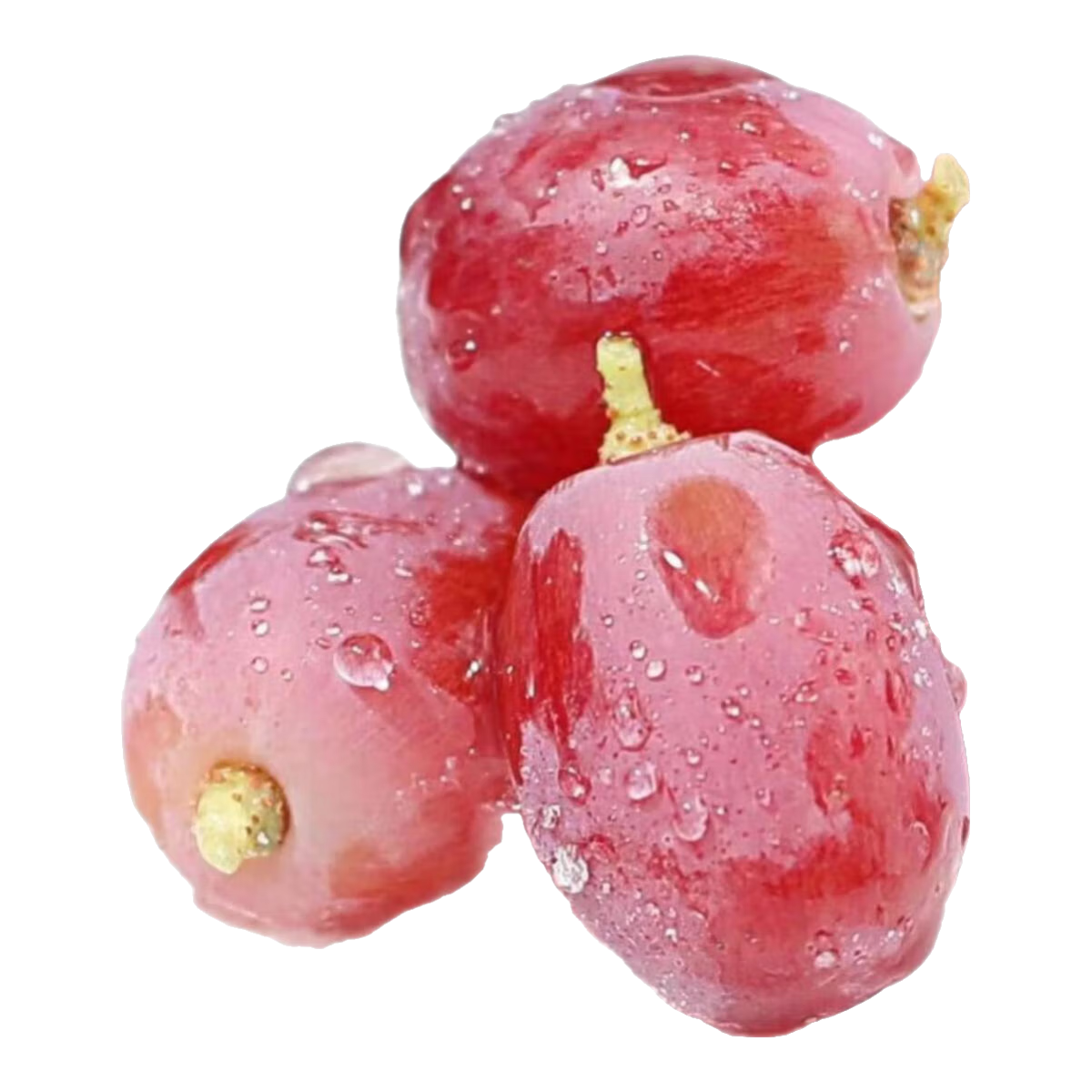 ���ڿ��������Ѻ������챦ʯ���ѵ�������ˮ������ 1�� 9.89Ԫ