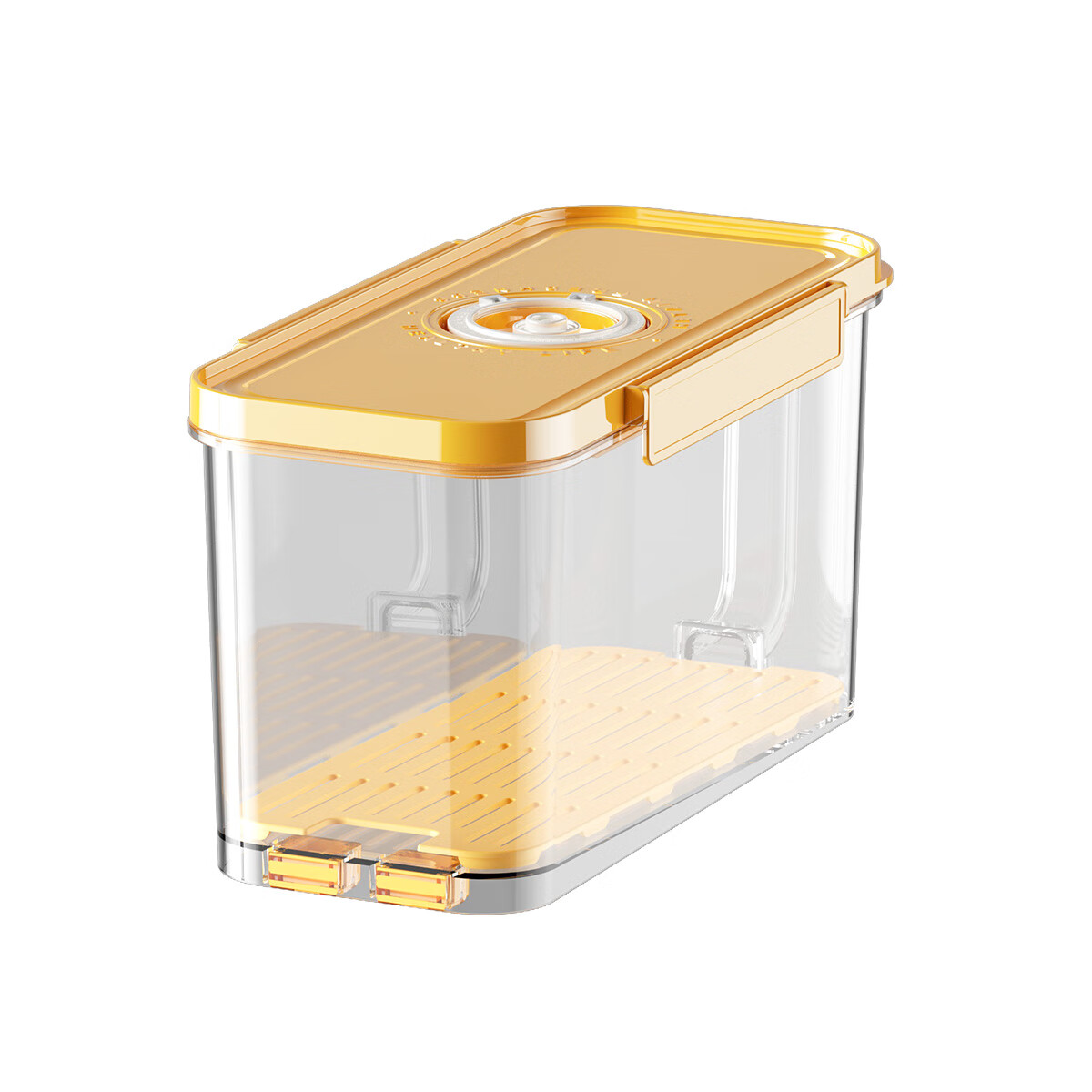 艾仕可真空保鲜盒密封食品级水果蔬菜冷冻分装专用整理冰箱食物收纳盒子 4.5L*1个装+电动抽真空泵