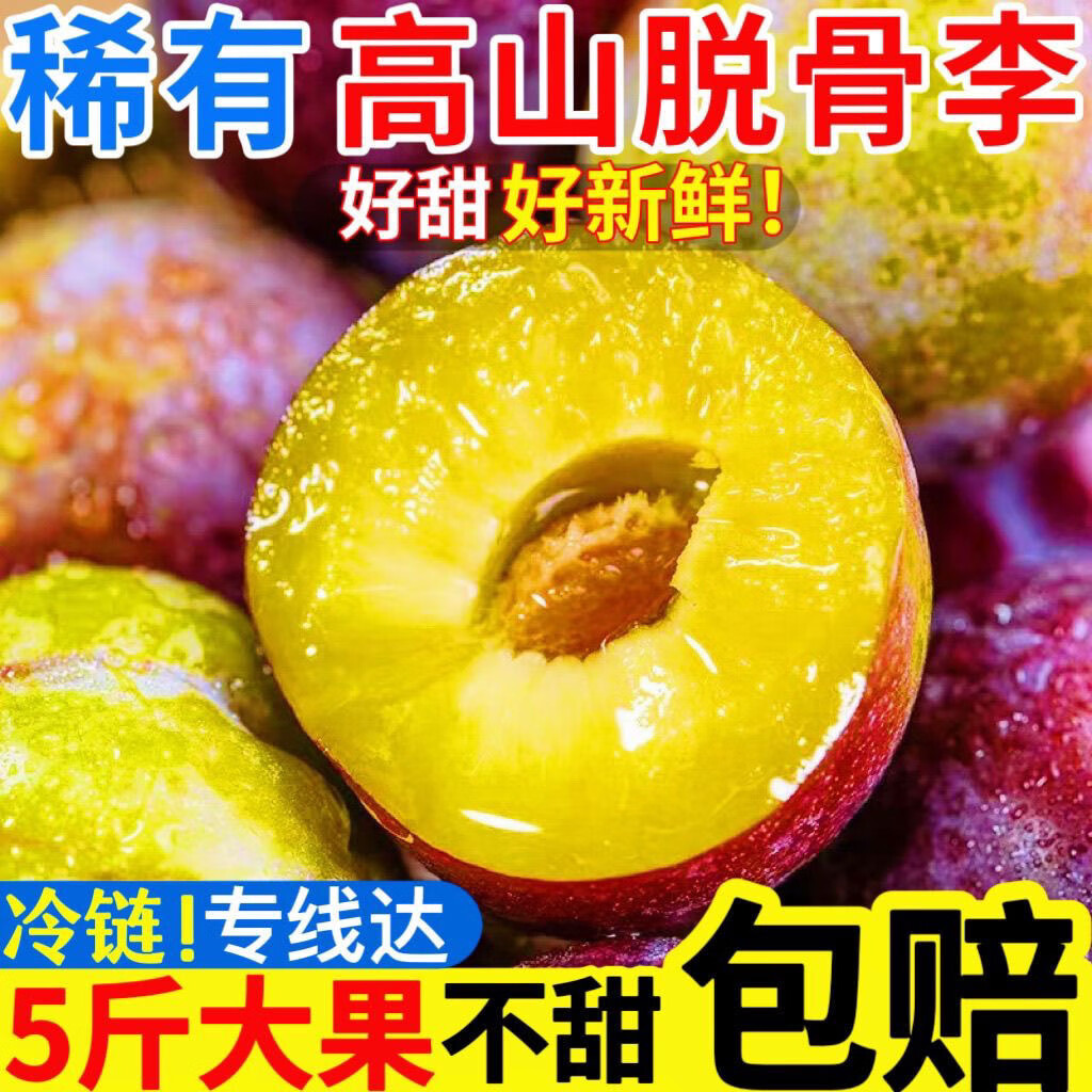 松林美果四川汶川脆红李脆甜可口新鲜现摘5斤孕妇新鲜水果李子脱骨脆李 脆红李5斤中果