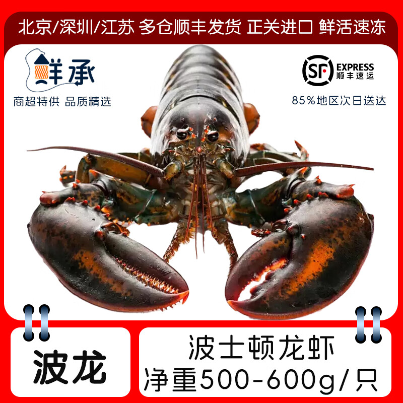 ʳвʿϺ ޴Ϻʻ䶳Ϻ 1-10 500-600g/ֻ