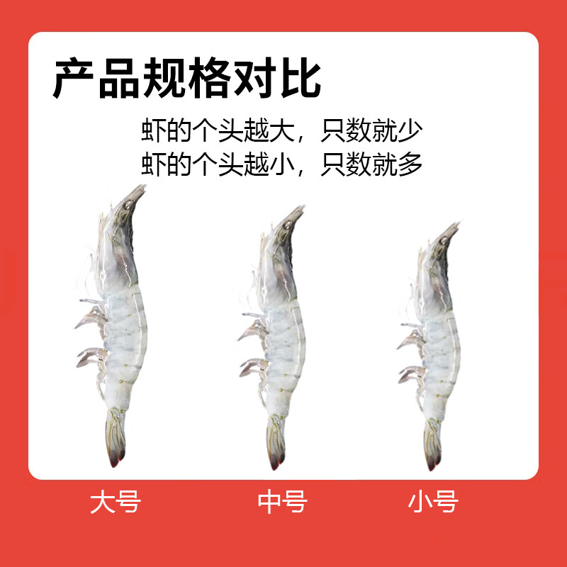 钦小鲜 原装进口白虾 厄瓜多尔白虾净重3.3斤大号盐冻海捕大虾海鲜水产 厄瓜多尔白虾 3.3斤(净重) 大号(30-40只)