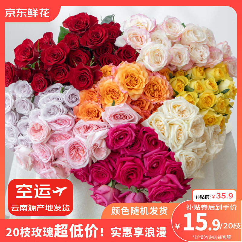 自营 玫瑰花合集 15.9元 随机色玫瑰10枝送10枝 18.9元 玫瑰10支+康乃馨10支+配草花束3束 - 特价的