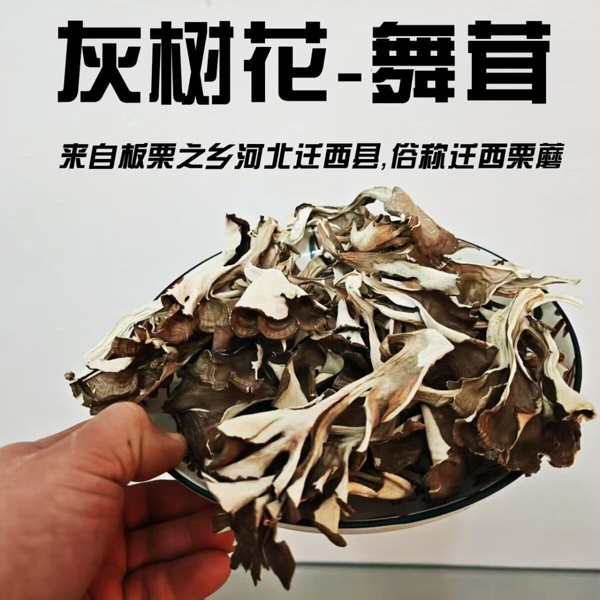 灰树花干货迁西栗蘑干唐山特产迁西板栗蘑菇 100g