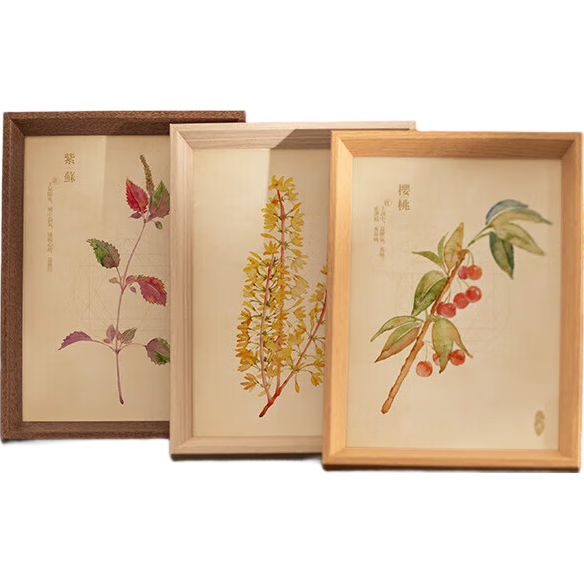 �������10��/5��/6�������Ƭ��Ƶ�����ڷŹ�ǽ��ʾ����������������� ���5��  2��װ