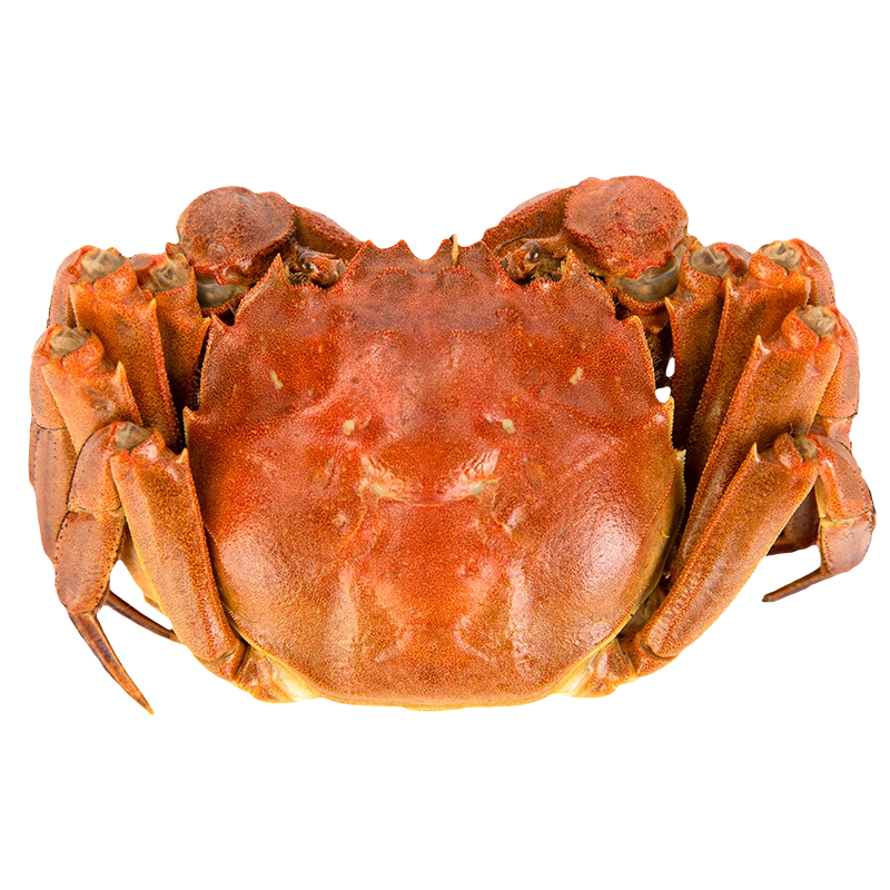  բзȫĸ 2.5-2.8 8ֻװ ̩ʻз  132.2Ԫ