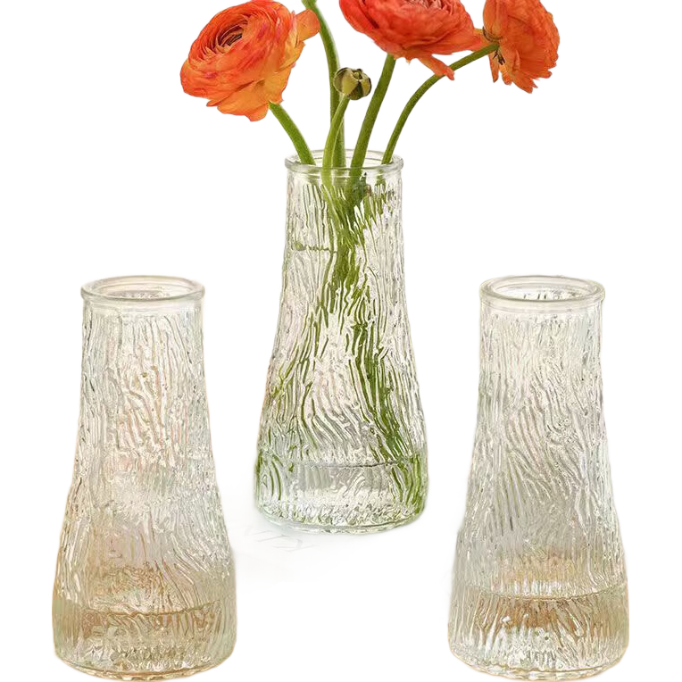 ����͸��ins�粣����ƿ ֲ��ɻ��廨ˮ������� ̨��װ�ο����ڼ� ͸��������17*5.5*8 1Ԫ