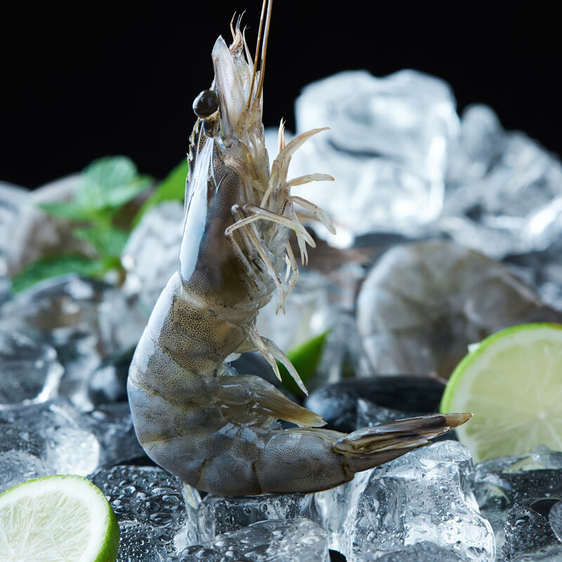 盐冻虾国联盐冻沙特进口白虾中号虾南美白对虾冷冻海虾 2000g 4斤(净重) 16-19cm 沙特虾30/40