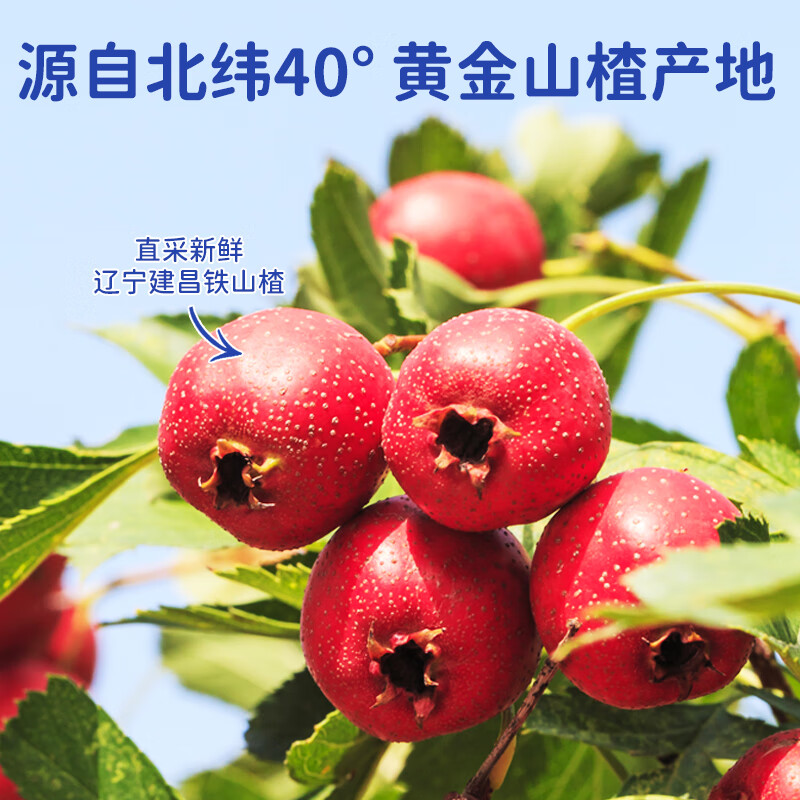 果仙多维蒸果仙制 软糯开胃 红心铁山楂  原果山楂棒-原味 10支 原果山楂棒10根