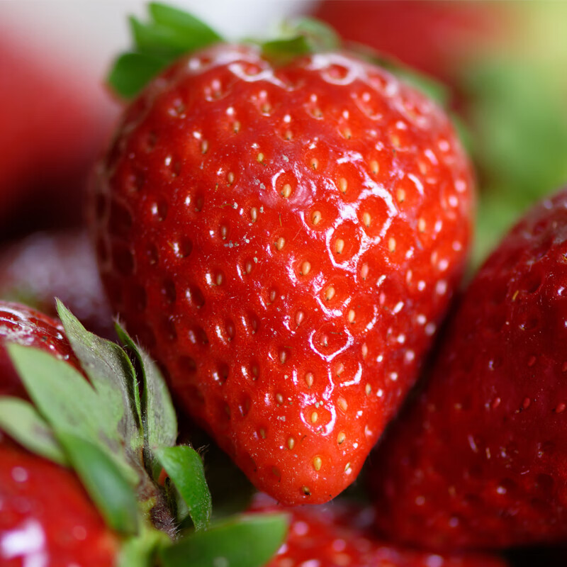 异果恋大凉山露天草莓高原红颜草莓水果礼盒现摘现发草莓礼盒装 2斤装（精选中果13g+）净重1.5斤