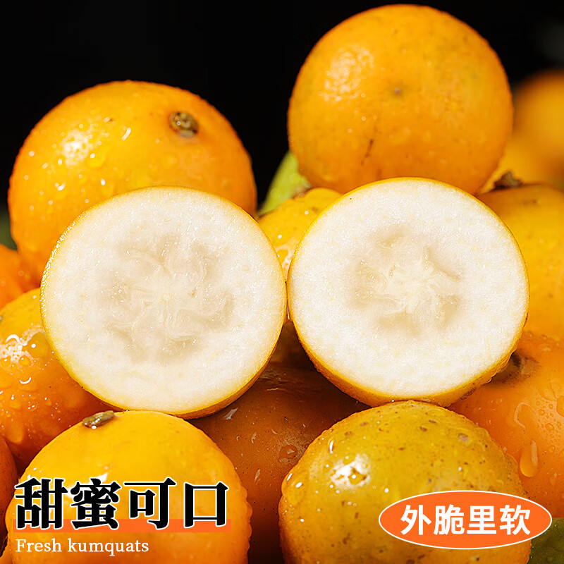融安金桔旗舰店正宗广西融安金桔第三代脆蜜金柑甜脆皮滑生鲜年货礼盒 【推荐】滑皮净重1.8斤 20g+【独立装】伴手礼 无提袋