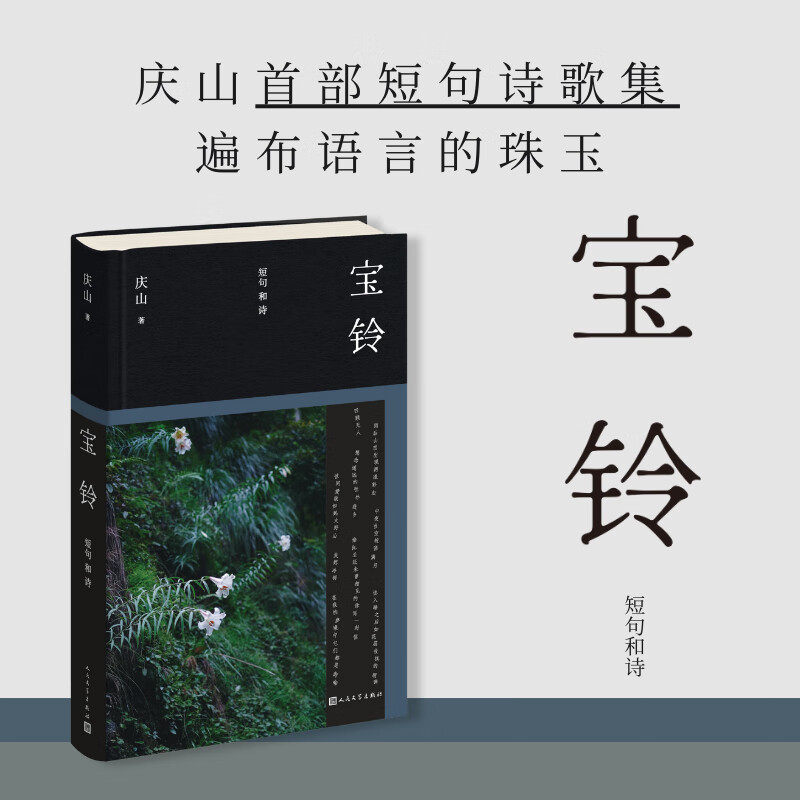宝铃（庆山安妮宝贝25全新作品） 宝铃 无规格