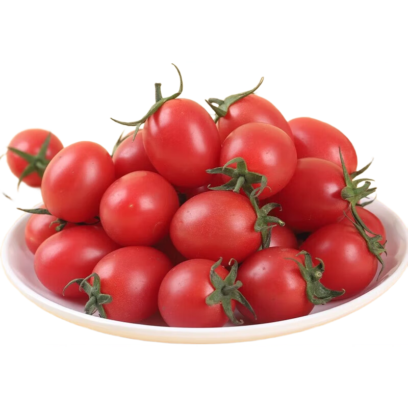 С���Ѹ�ɽʥŮ��С���������ʼ�֬���� ʥŮ�� 1�� ���� 2.5Ԫ