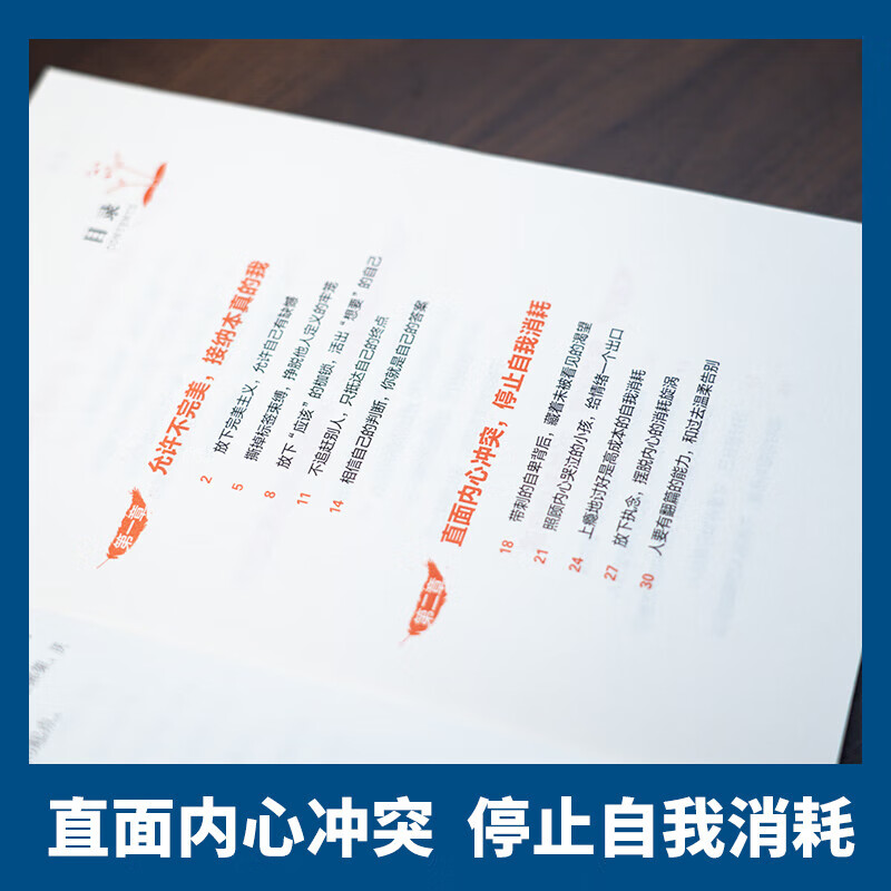 抖音同款】自渡 自渡自愈 自渡自愈正版书 反内耗心理学思维 摆脱焦虑自愈解压的书 疏导情绪书籍 自渡 向源