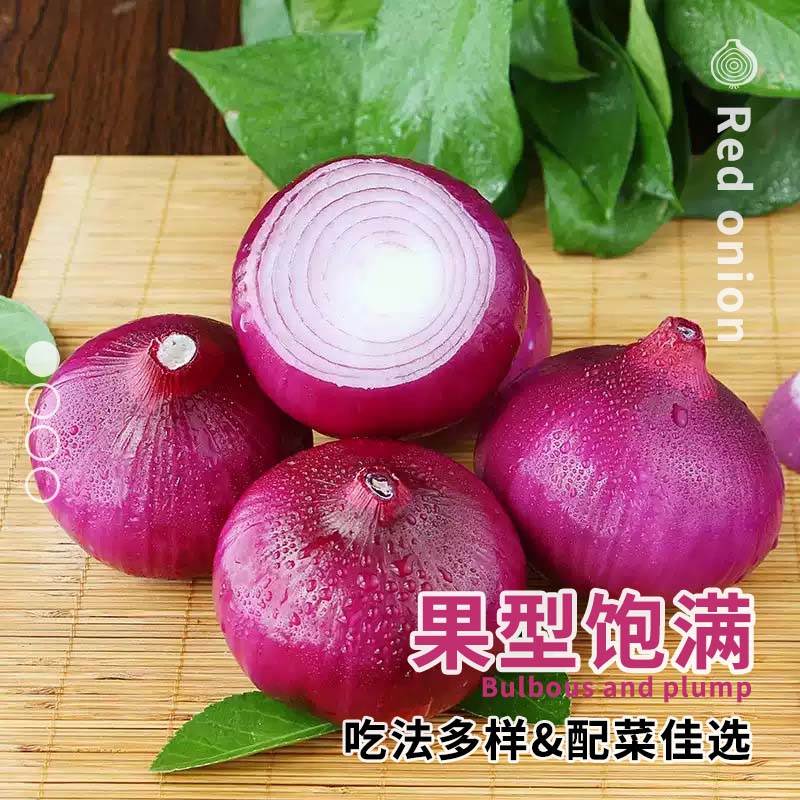 薏品甄鲜新鲜饱满无畸形洋葱 产地直发新鲜采摘 【精选】洋葱净重4.5-5斤