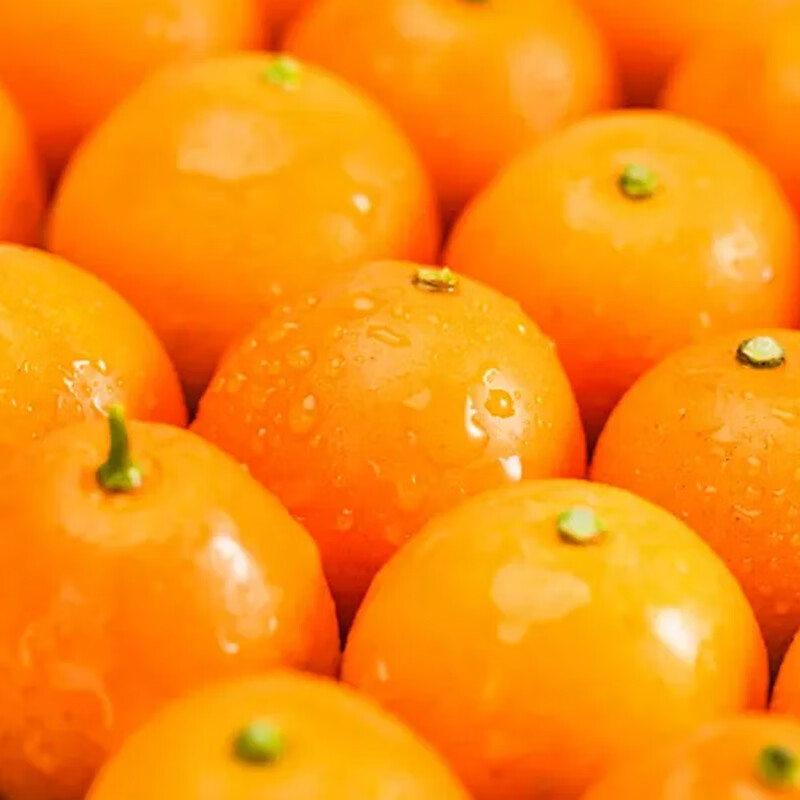 融安金桔旗舰店正宗广西脆蜜金桔第三代脆蜜金柑小金桔子新鲜水果礼盒装 伴手礼盒 滑皮净1.8斤 单果20g+【独立包装】无手提袋