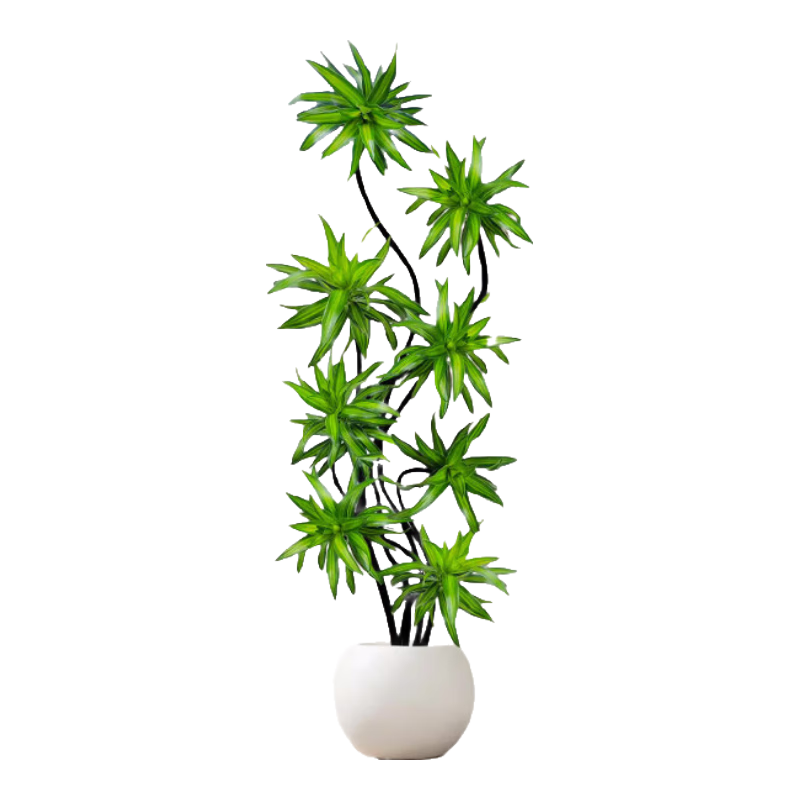 �ٺ��������ֲ���Ծ�Ʒ�߶���׮�߼��������滨��լ��������ֲ�� �ؼ��ٺ���1.7-1.9m��ɫӡ��Բ���裨���ڲ��� ���� 313Ԫ