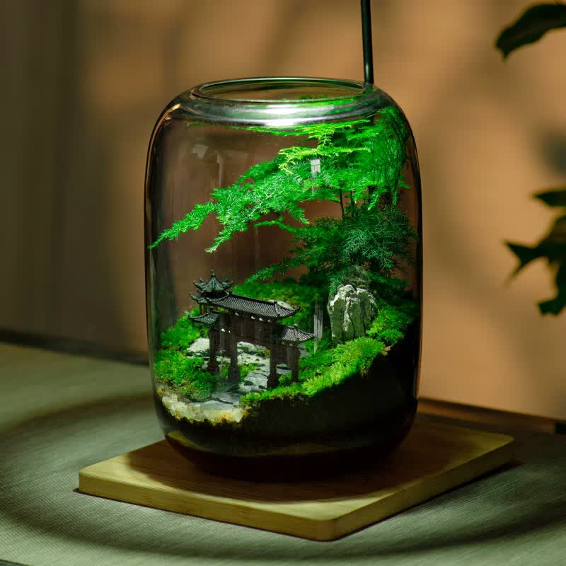 青苔壹品成品创意台藓微景观植物盆景办公室面绿植生态瓶缸盆栽 鸣竹神居+补光灯（套装）