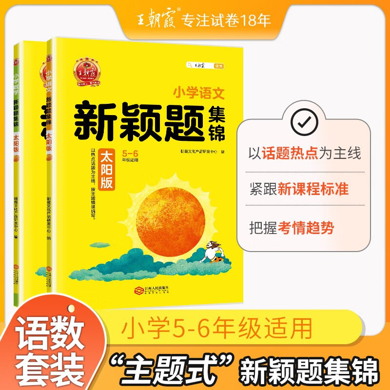 2023新课标王朝霞新颖题集锦知识盘点太阳版语文数学四五六年级主题情境学习书月亮版专项学霸尖子生题库阅读理解专项训练题集小升初衔接练习专项训练书专题突破学练考词语积累训练 【通用版】太阳版·语文+数学