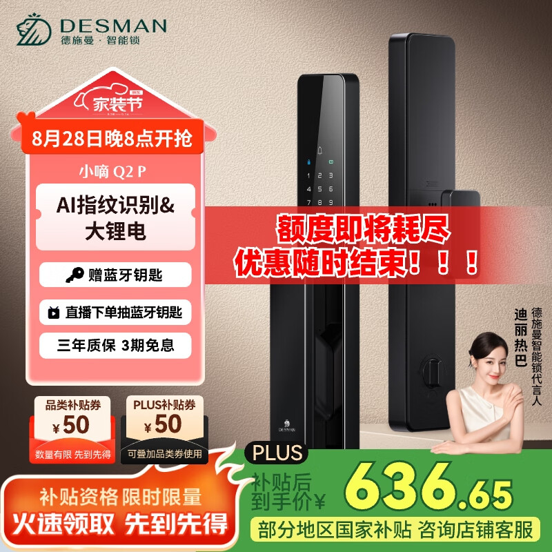 ʩDESMAN뻧 ÷ָ С Q2P