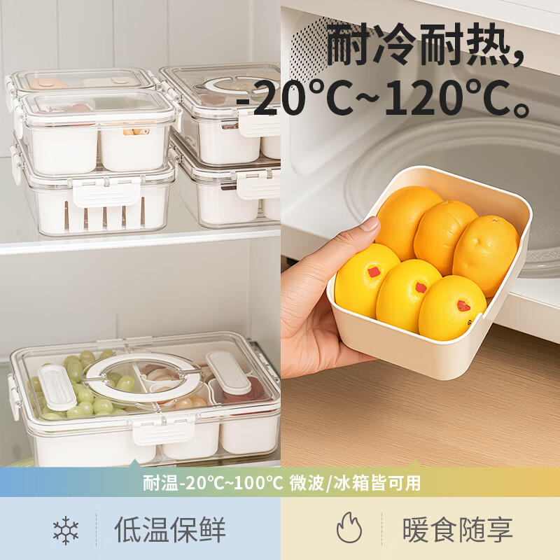 禧天龙分格保鲜盒户外野餐保鲜水果收纳盒可手提便携式密封盒 八分格【带手提】