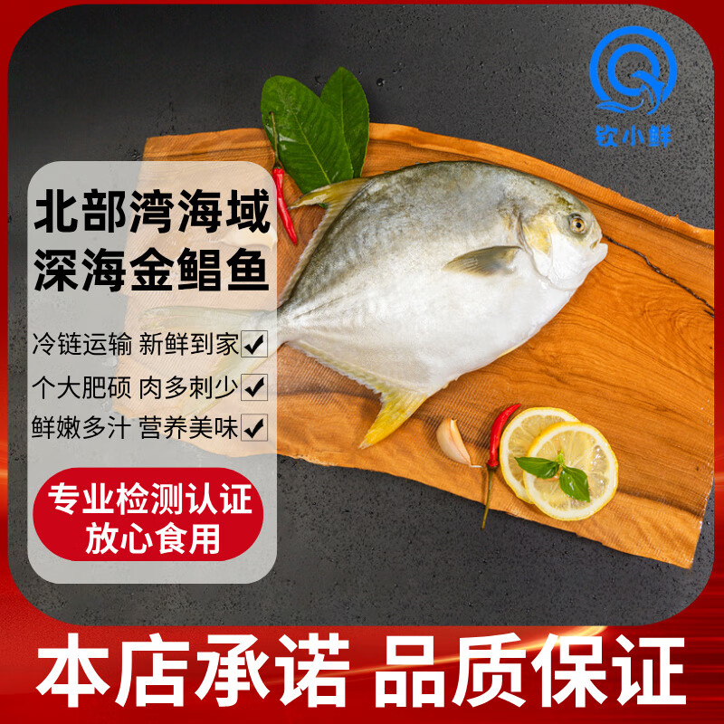 钦小鲜北部湾深海金鲳鱼检测认证肉多刺少海鲜生鲜深海鱼火锅食材端午聚 金鲳鱼 【4条*550-600克净重】