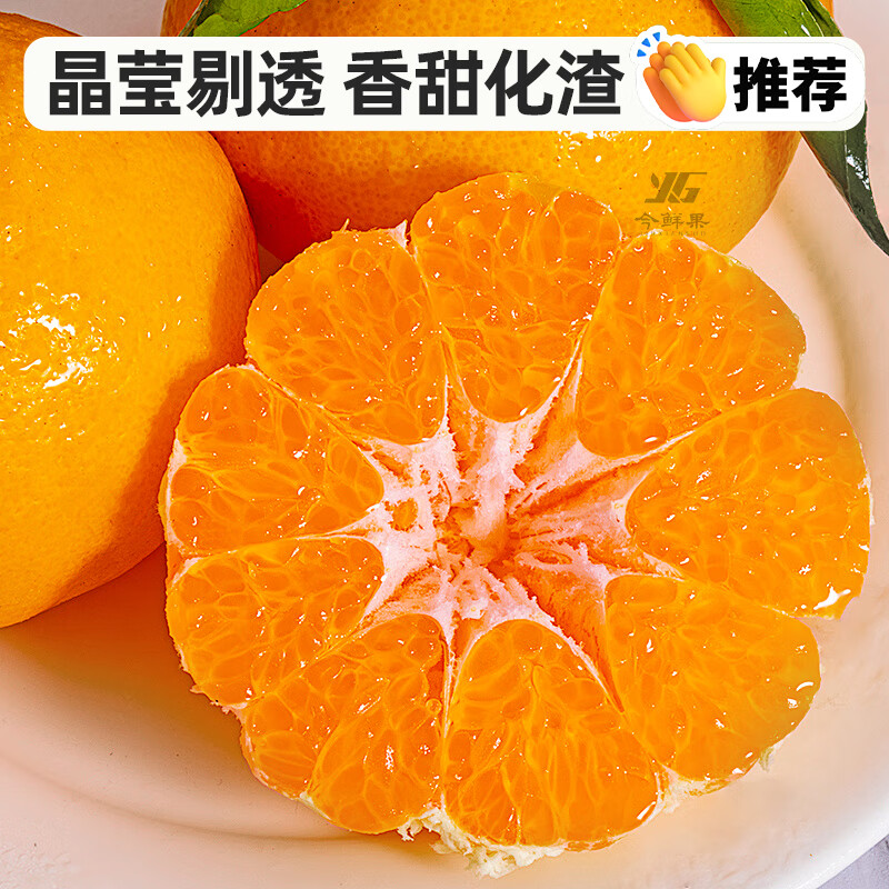 今鲜果四川春见耙耙柑新鲜水果应季柑橘子桔子粑粑柑孕妇水果 统货直发(普通快递) 真·耙耙柑净重8斤/单果80mm+