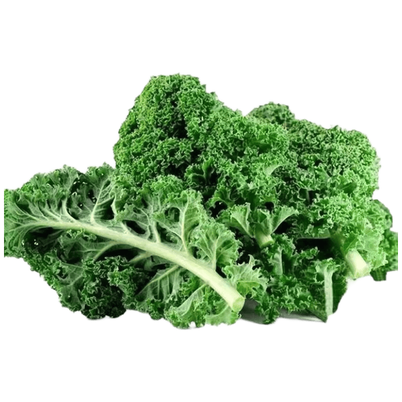京鲜生山东新鲜羽衣甘蓝净重3斤 新鲜蔬菜 榨汁 健康轻食 源头直发