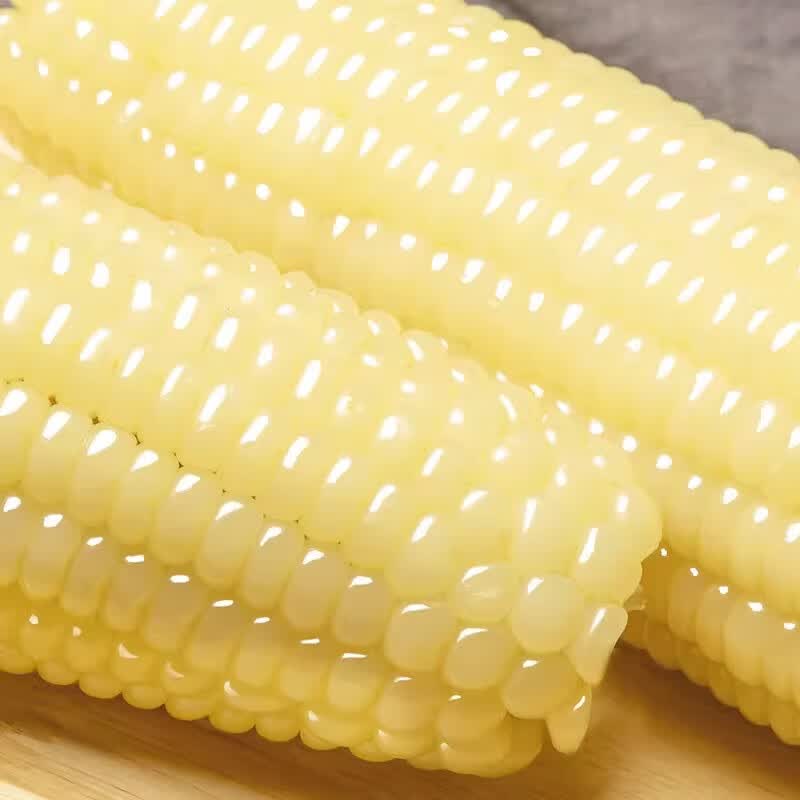 东北白糯玉米棒 新鲜甜糯玉米棒 代餐轻食真空包装黏粘玉米 东北白糯玉米200g*8棒